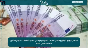أسعار اليورو ترتفع بشكل طفيف أمام الجنيه في نهاية تعاملات اليوم الاثنين 11 أغسطس 2025